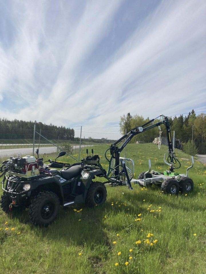 Avestavagnen - Forester standard bred bild stående gräs