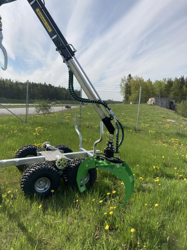 Avestavagnen - Forester standard bred bild
